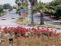 בית שמש קורצת לציבור הדתי